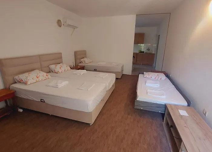 Guesthouse Mixe