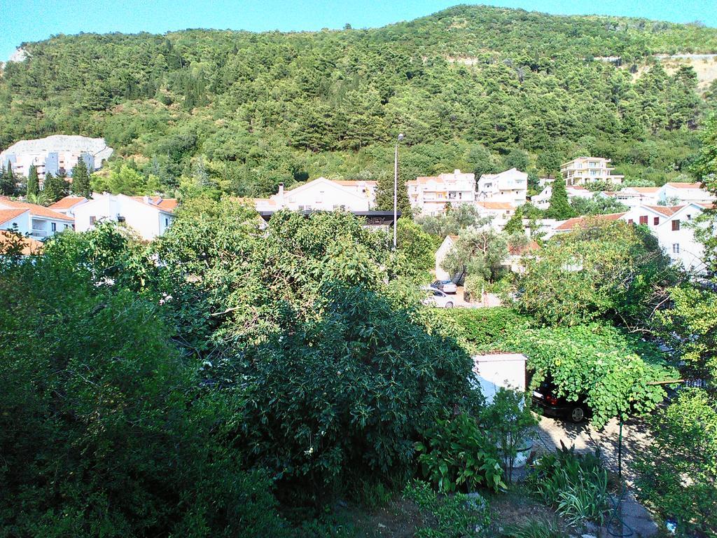 Pensjonat Mixe Budva