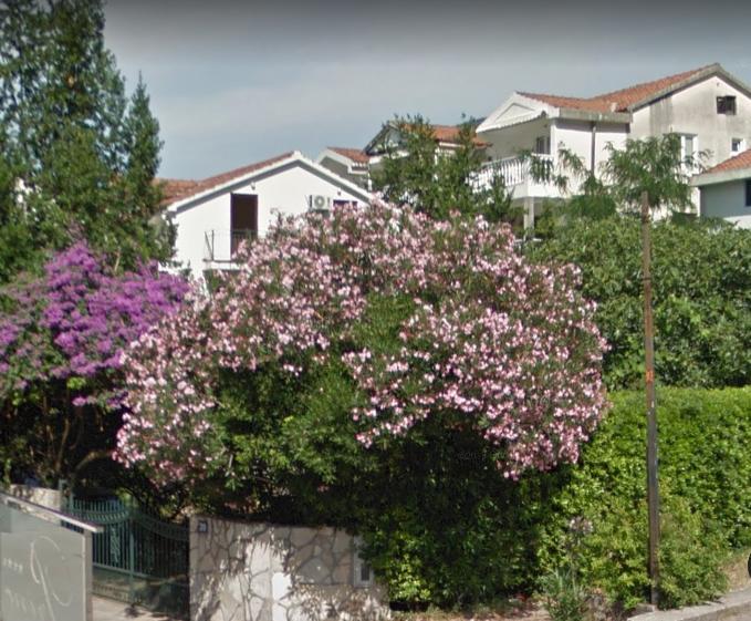 Guest house Mixe Budva